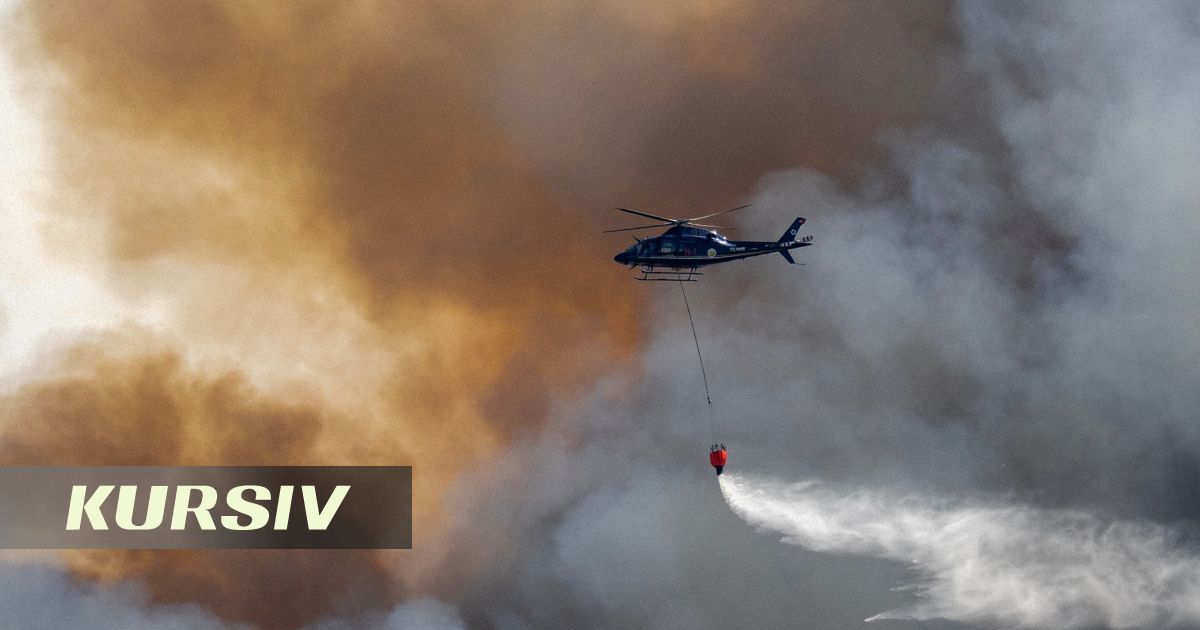 ТЖМ, ҰҚК және Қорғаныс министрлігінің тікұшақтары «Семей орманындағы» ірі өртті сөндіруде