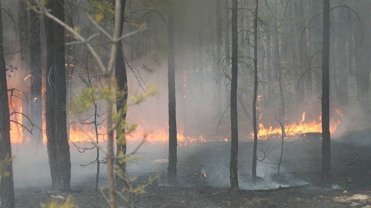 «Семей орманы»ндағы өрт: ашық жалын сөндірілді
