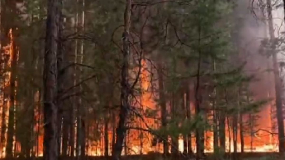 Қазақстандағы орман өрттері: Экология министрлігі мен ТЖМ әуеден түсірілген үрейлі кадрларды көрсетті