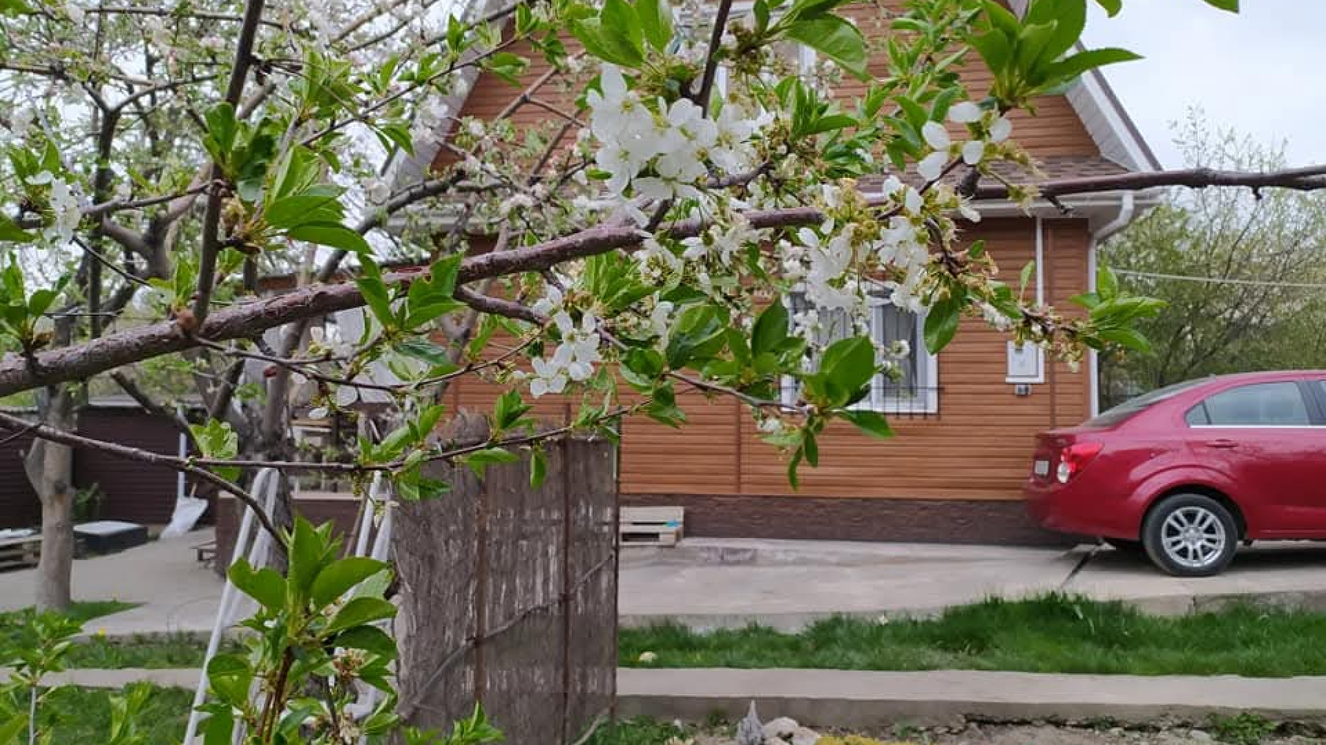 «Дача сегодня — это не про картошку, а про загородный дом». Сколько стоят шесть соток в Казахстане
