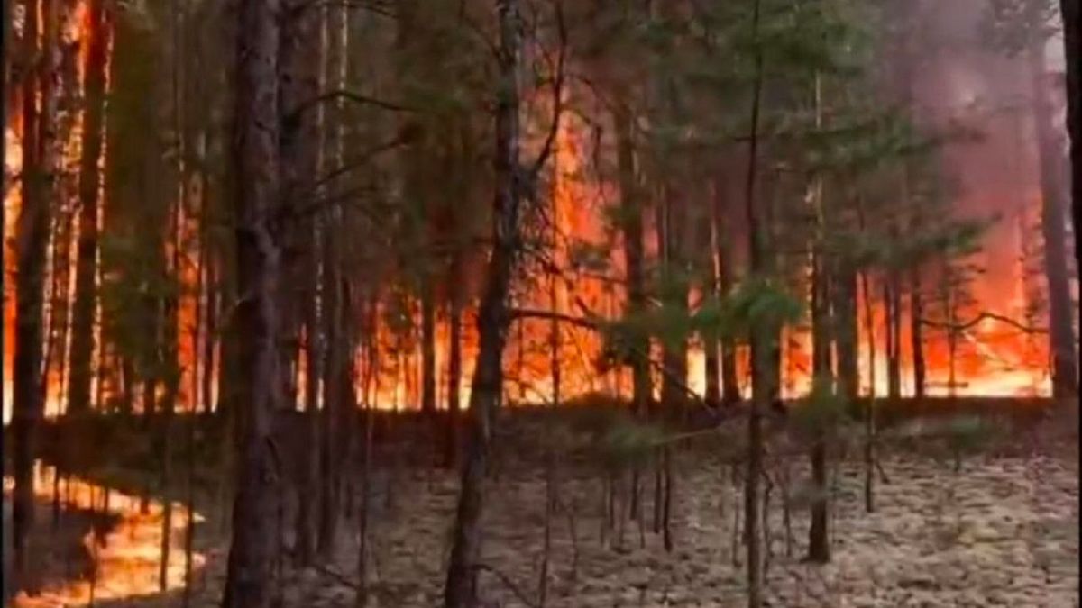 Абай облысындағы орман өрті екі тәуліктен соң оқшауланды