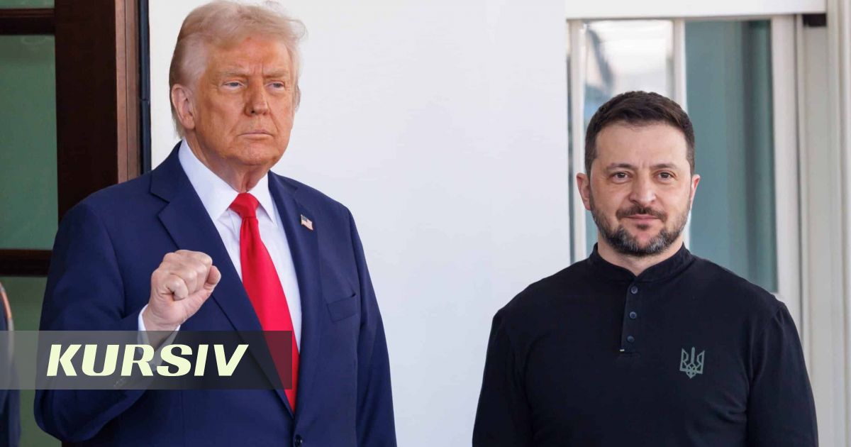 Трамп и Зеленский планируют провести встречу в Вашингтоне