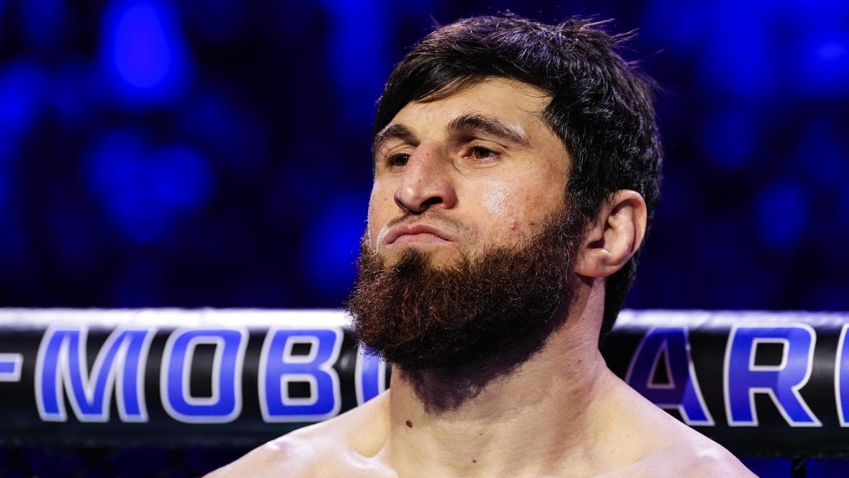 Экс-чемпион UFC Анкалаев нокаутировал узбекистанца Гуськова на турнире в Абу-Даби