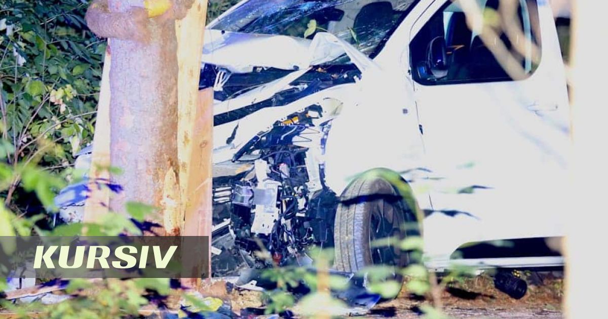 Трагедия в Берлине: фургон врезался в толпу на ЛГБТ-параде, один погиб