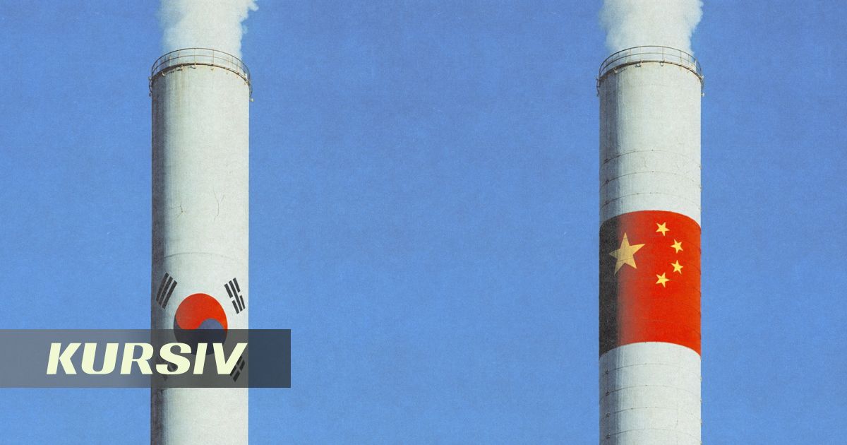 Заводы за $305 млн строят в Жамбылской области при участии инвесторов из Китая и Кореи