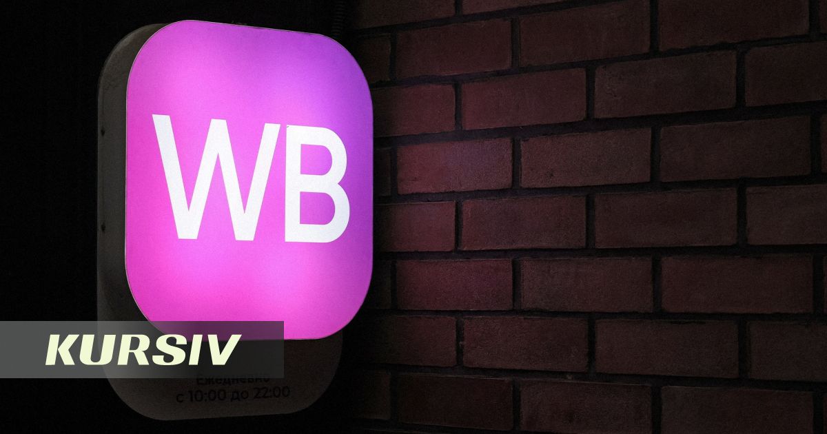 Минторговли Казахстана прокомментировало возможность размещения складов Wildberries