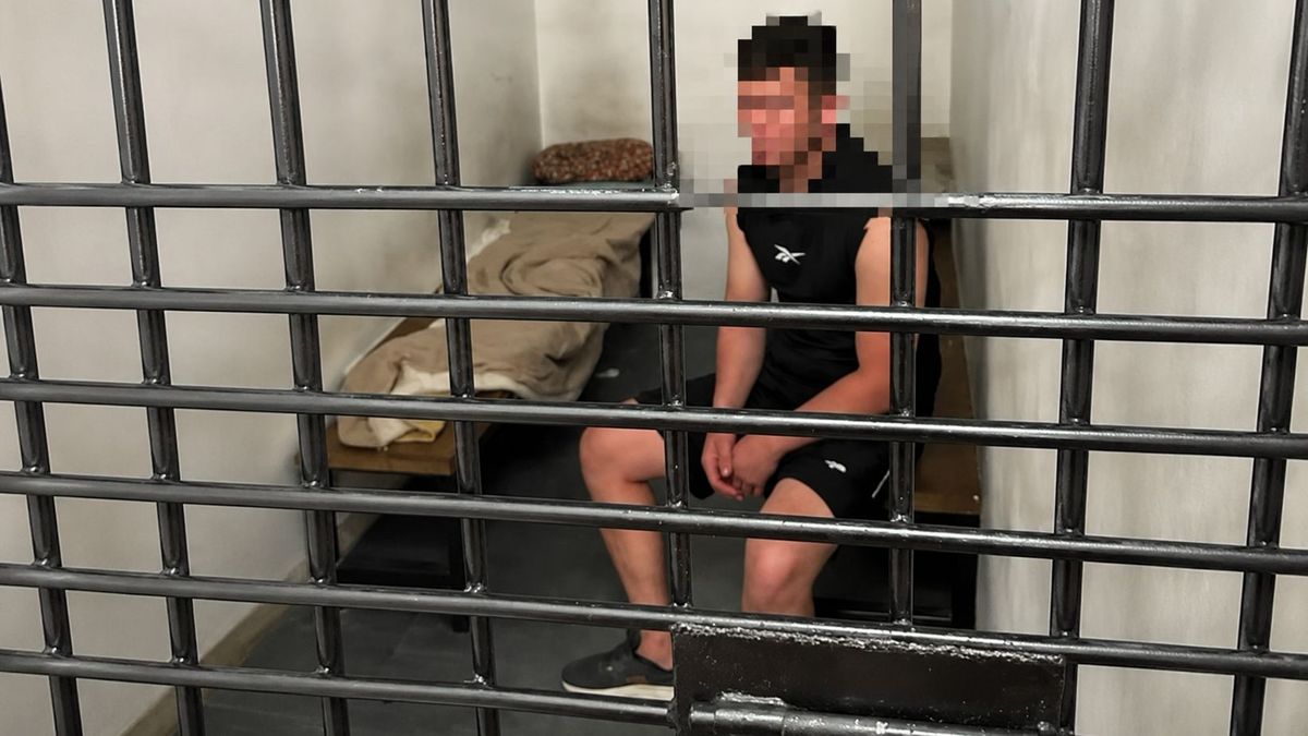 В Астане задержали мужчину за нападение на девушку в Президентском парке