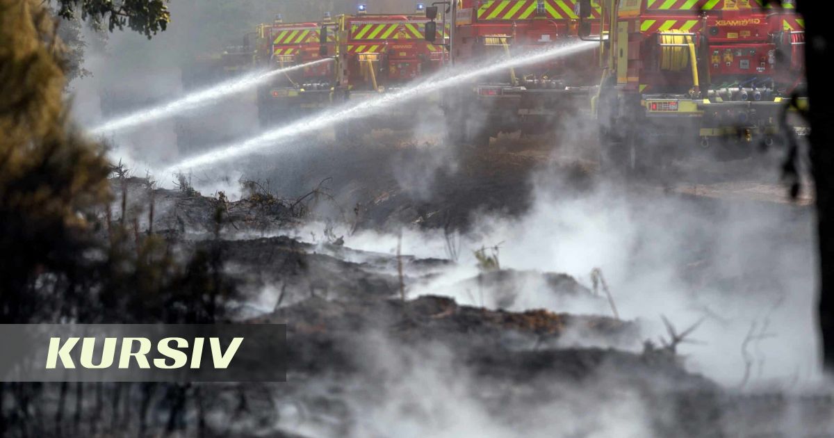 Лесные пожары обошлись Европе в €3,1 млрд всего за два месяца