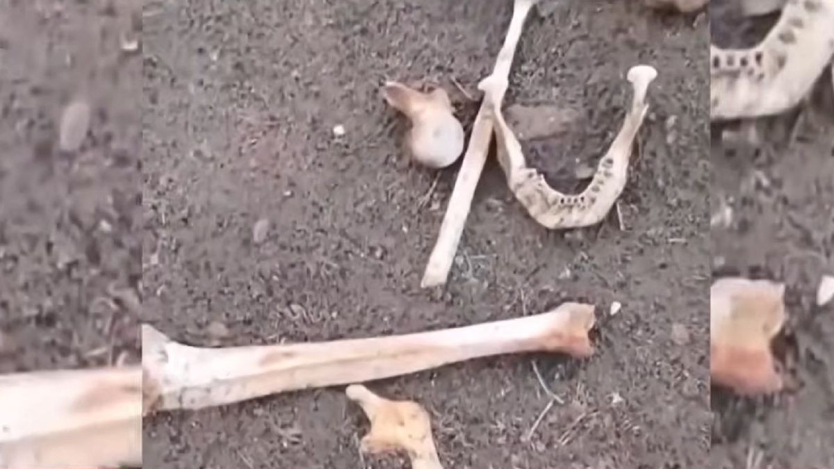 В Семее при строительстве спорткомплекса обнаружены человеческие останки