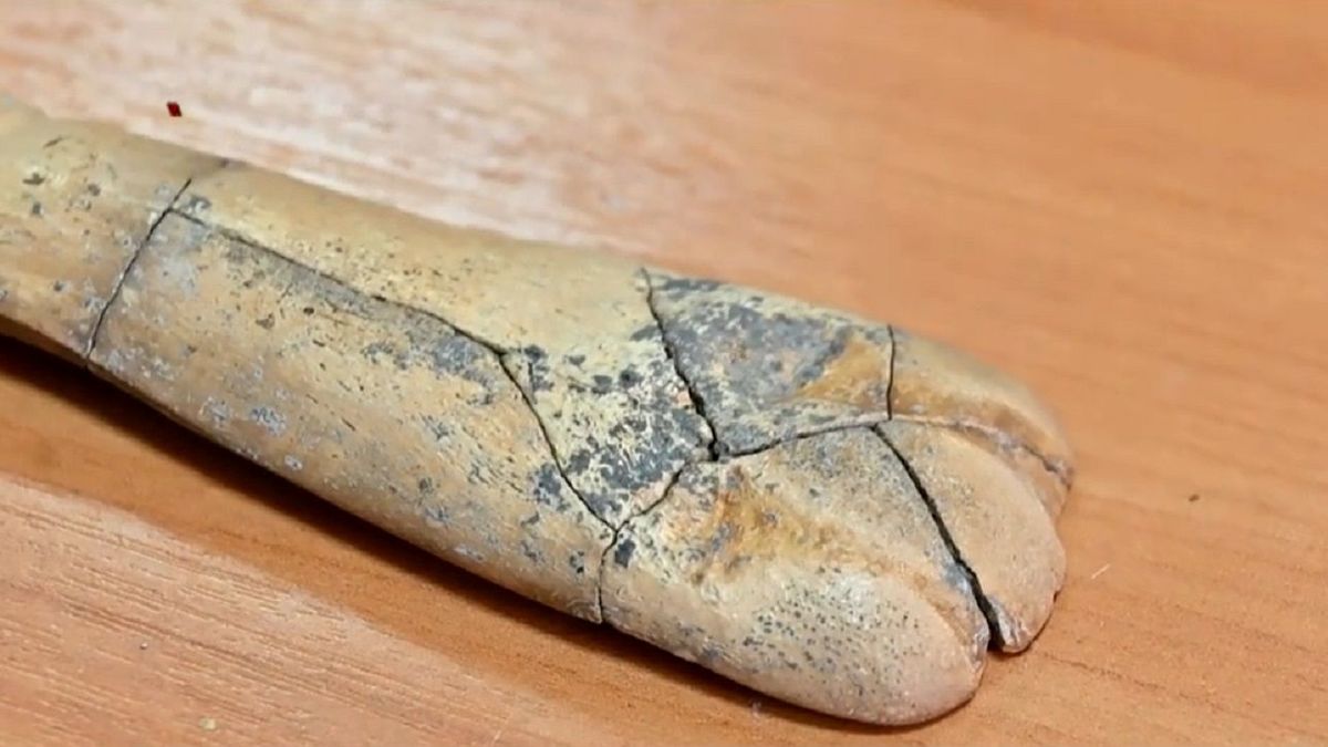 Қостанай облысынан неолит дәуірінің көне жерлеу орындары табылды