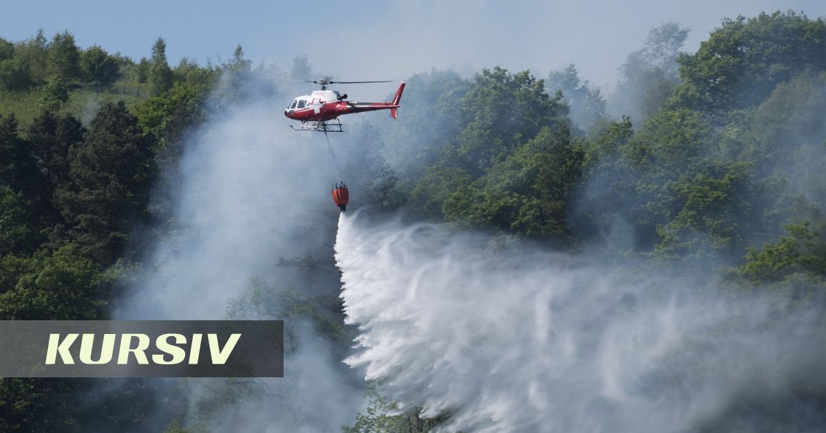 33 млрд тенге из утильсбора направили на борьбу с лесными пожарами в Казахстане
