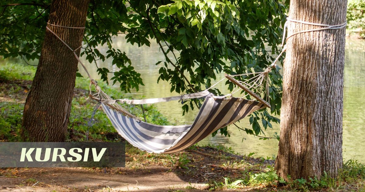 Озеленение улиц может улучшить качество сна — исследование