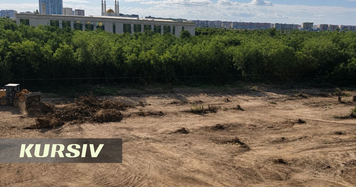 Жители Актобе возмущены вырубкой деревьев в триатлон-парке