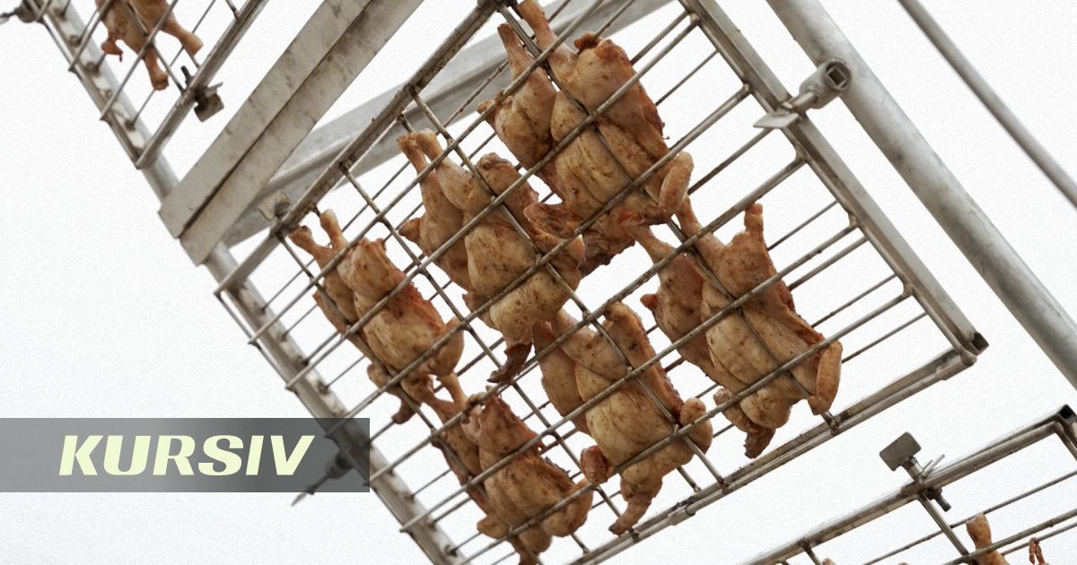 В Омане закрыли колесо обозрения с курицами-гриль