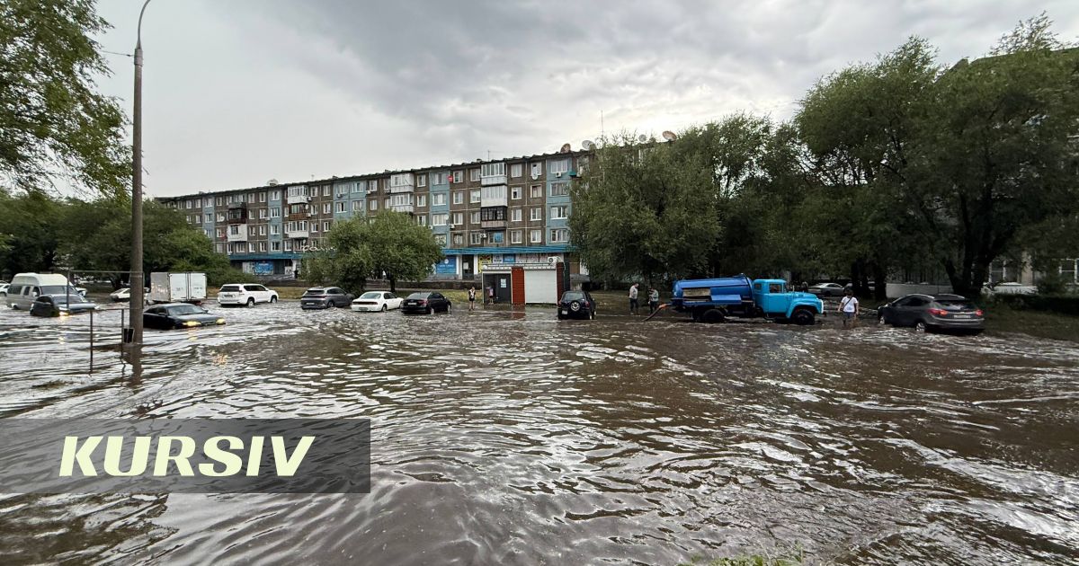 Сильный ветер оставил без света часть ВКО и повалил десятки деревьев