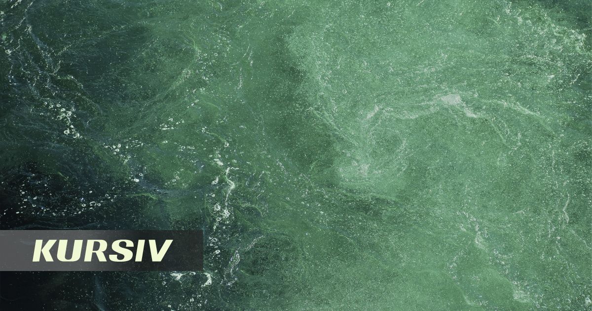 Жители Астаны заметили зеленую воду в Есиле: что показала проверка