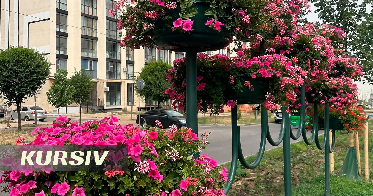 Как в Алматы реализуют «Бюджет народного участия» в Наурызбайском районе