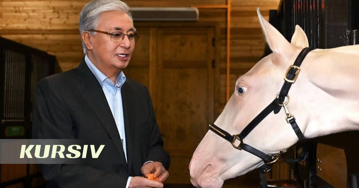 Любимая лошадь Токаева Акжан покорила соцсети своей красотой