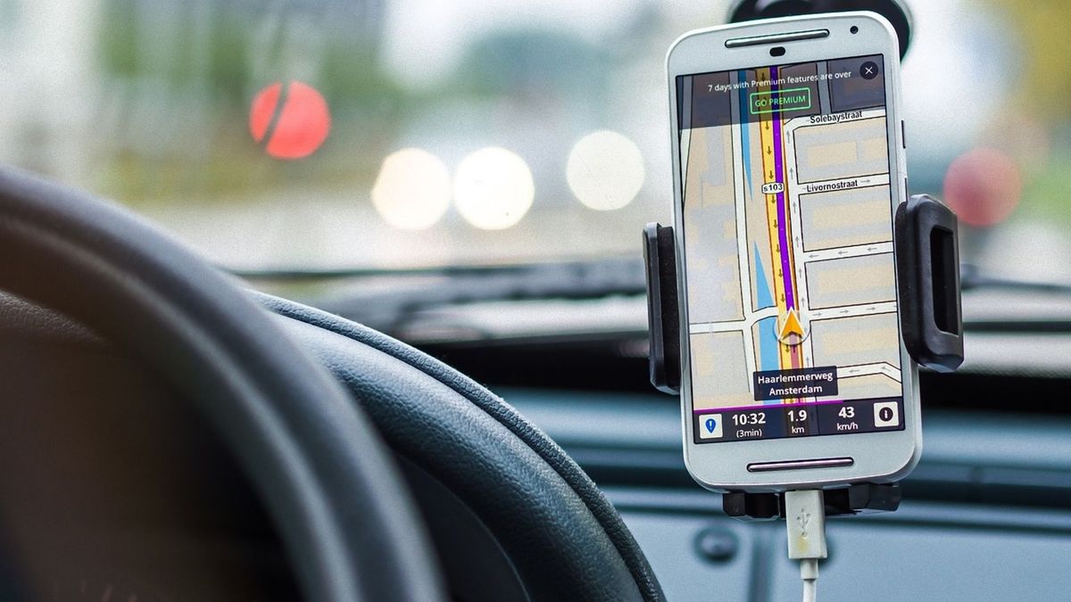 Внутренний GPS: как кортизол нарушает пространственную ориентацию