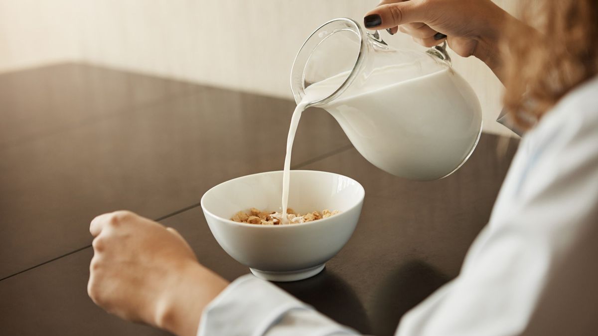 Канадские ученые: жирные молочные продукты не повышают холестерин