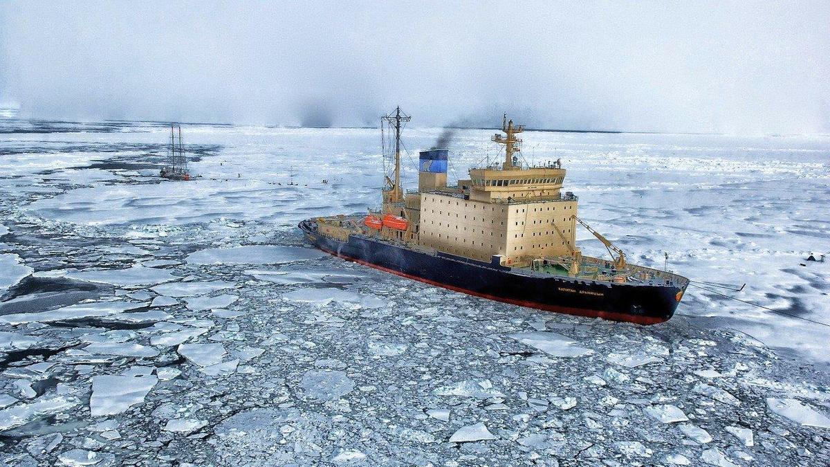 «Я больше не мог этого терпеть»: гиды уволились из Антарктиды из-за разрушений от туризма