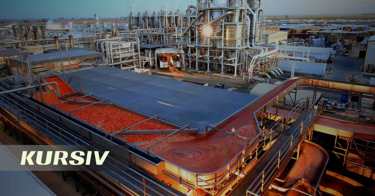 Alpecon Group построит завод по выпуску томатной пасты в Кызылординской области