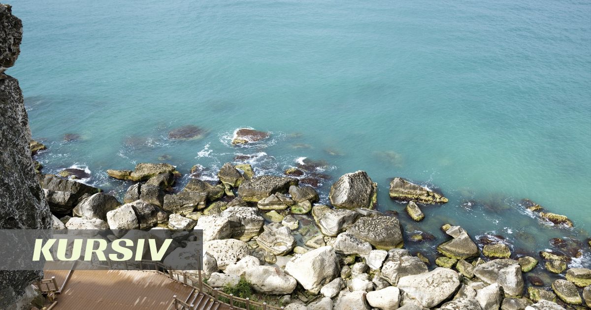 День Каспийского моря в Казахстане: итоги международной волонтерской недели