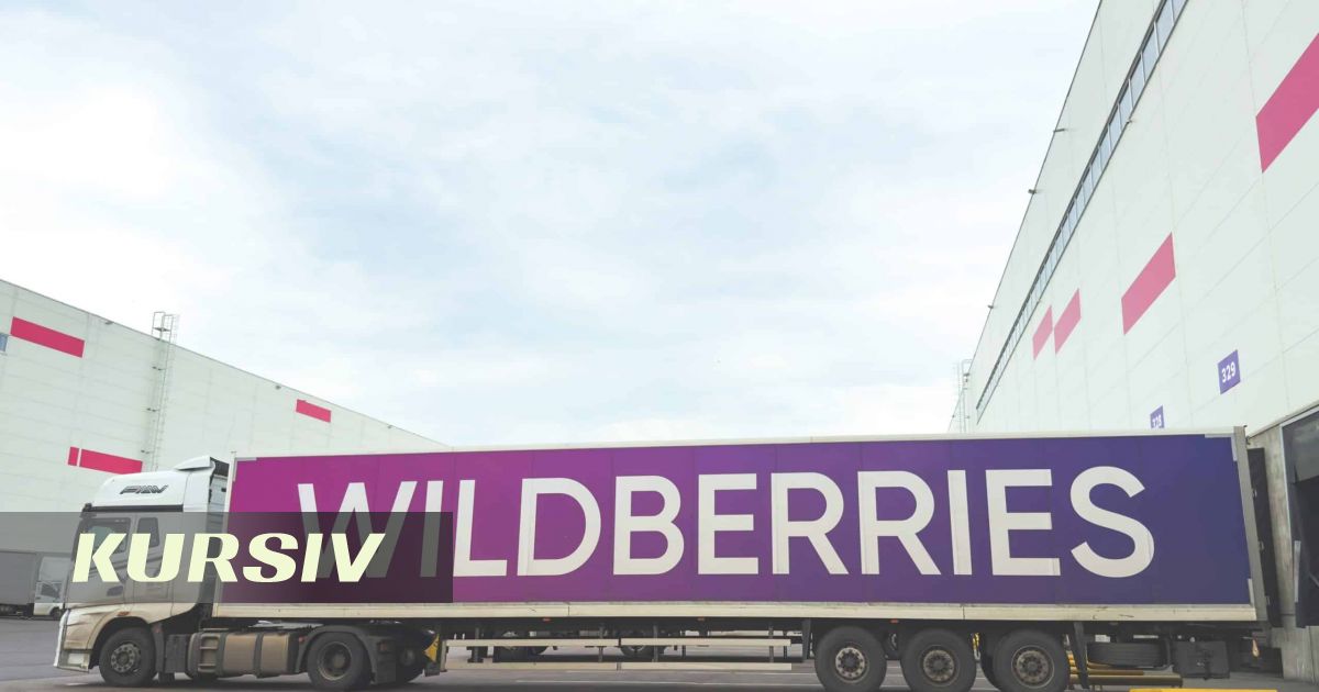 Потери Wildberries от атак дронов оценили в 800 млрд рублей