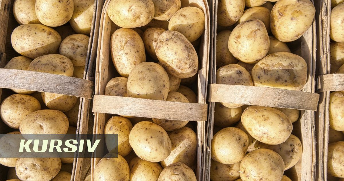 Где в Казахстане самые дешевые продукты — статистика БНС