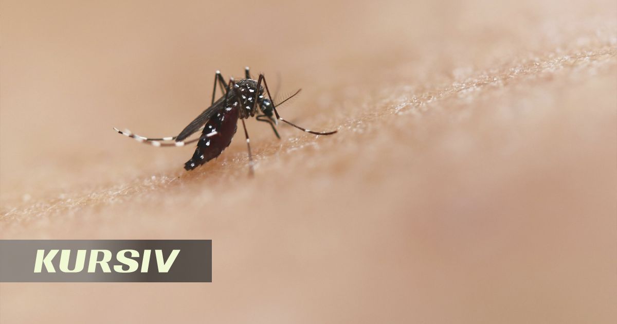 Ученые предложили использовать укусы малярийных комаров для тренировки иммунитета
