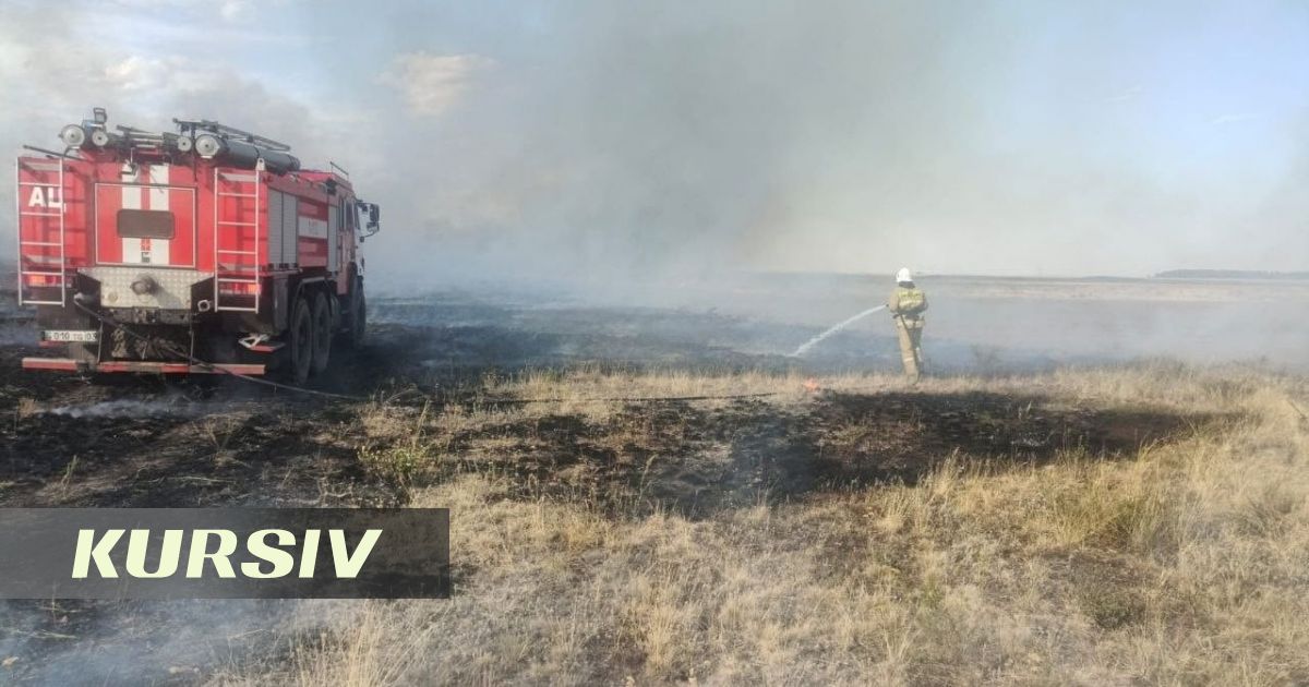 В Акмолинской области ликвидированы природные пожары на площади 67 гектаров