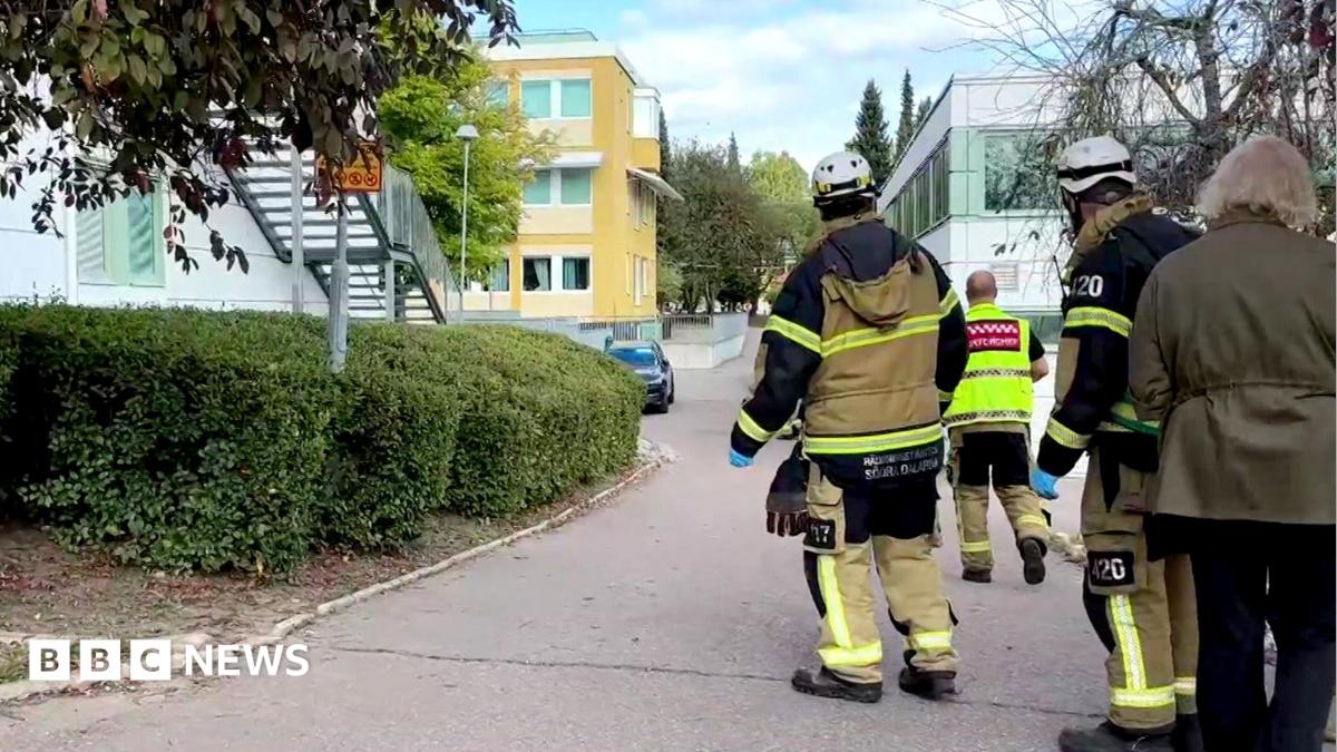 Нападение с мечом на школу в Швеции: есть пострадавшие