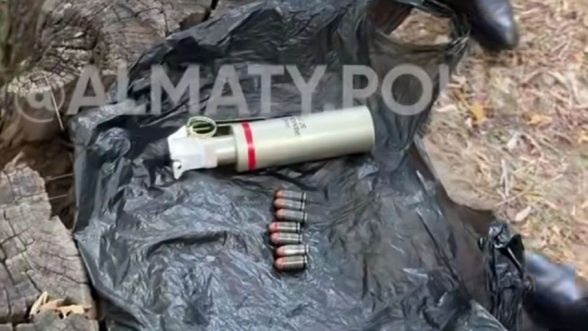 В Алматы во дворе жилого дома обнаружен пакет с боеприпасами