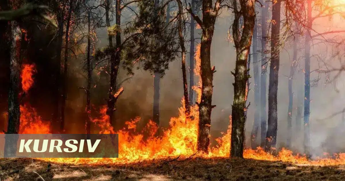 В Казахстане за сутки зафиксировали пять лесных пожаров