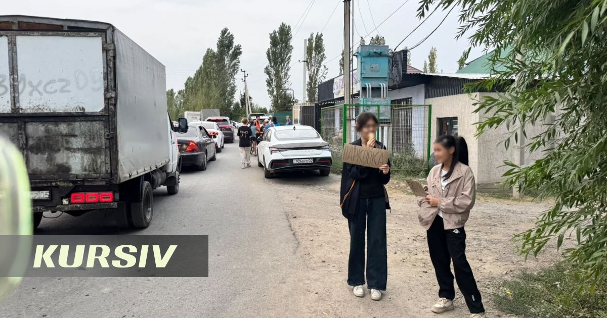 Как жители Алматы заработали на гостях Park Live