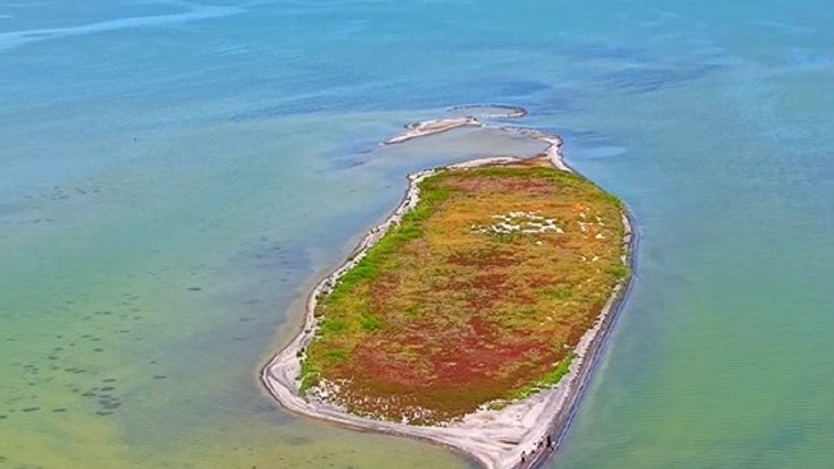 В Каспийском море у берегов Казахстана обнаружен новый остров