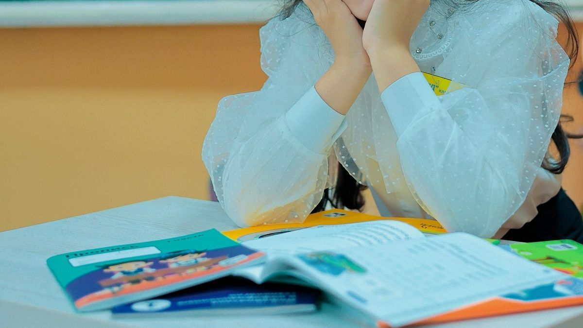 Казахстанские школьники начнут изучать "Основы Конституции" и "Закон и Порядок"