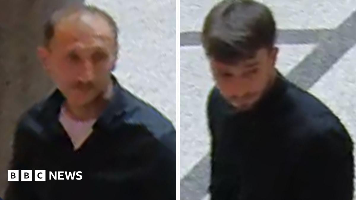 Вена мұражайында 600 алмасты алқа күндіз-ақ ұрланды