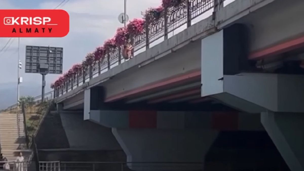 Алматыда балалардың көпірден өзенге секіруі: полиция тексеру бастады