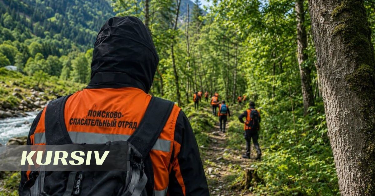 Алматы тауларында жоғалған бала табылды: іздеу бір тәуліктен астам уақытқа созылды
