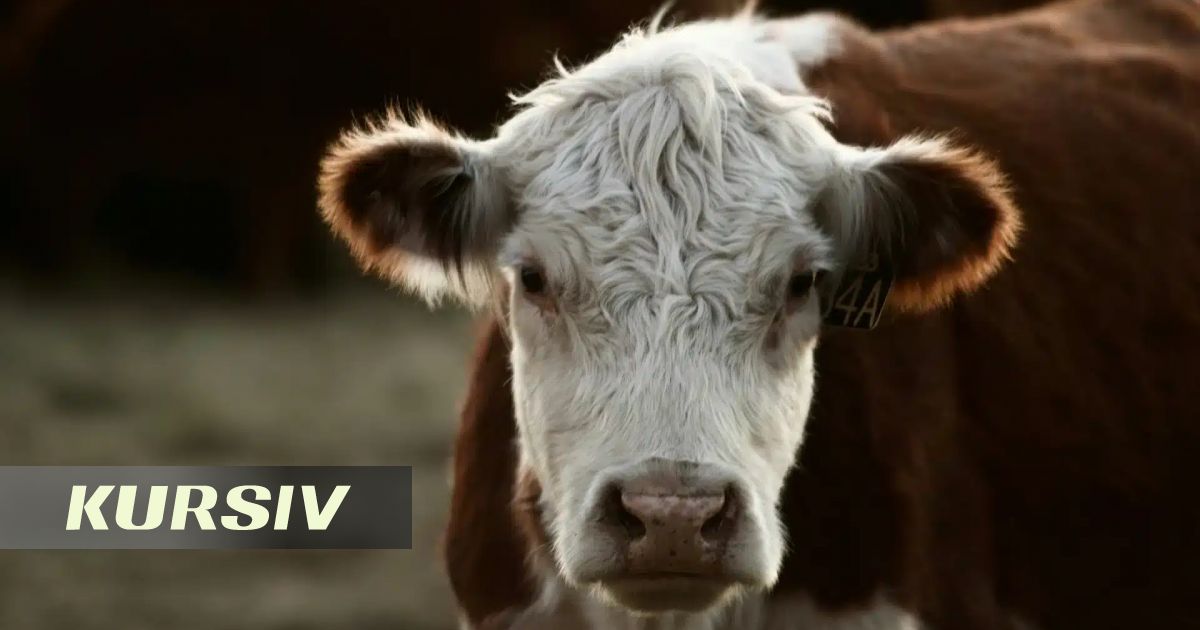 Профессор ветеринарияға «Ташимов ауруы» деген атау енгізуді ұсынды