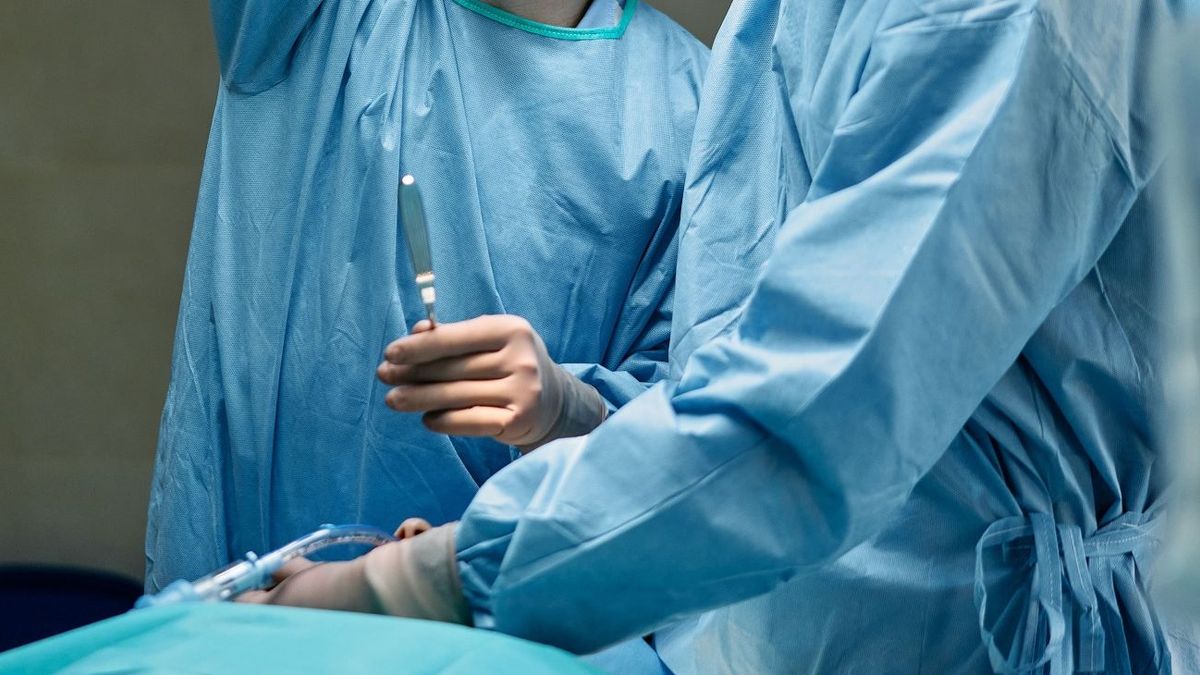 Америкалық шошқа бүйрегімен рекордтық тоғыз ай өмір сүрді