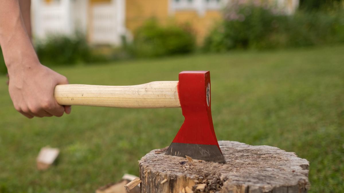 Қазақстандық 89 жастағы анасын өлтірді деген күдікке ілінді