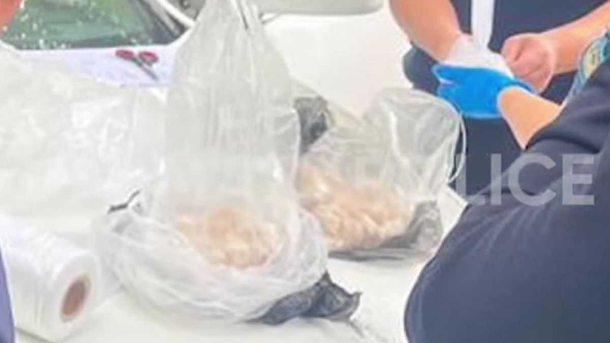 Алматыда әйелден 2,5 кг есірткі және жүздеген закладка тәркіленді