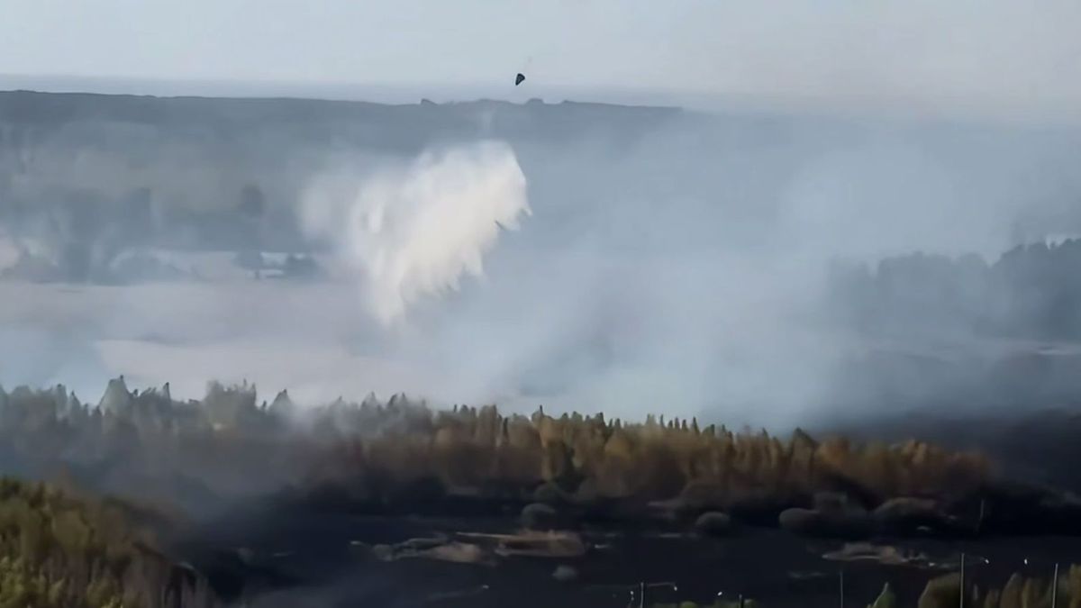 Ақмола облысында екі ірі орман өрті болды