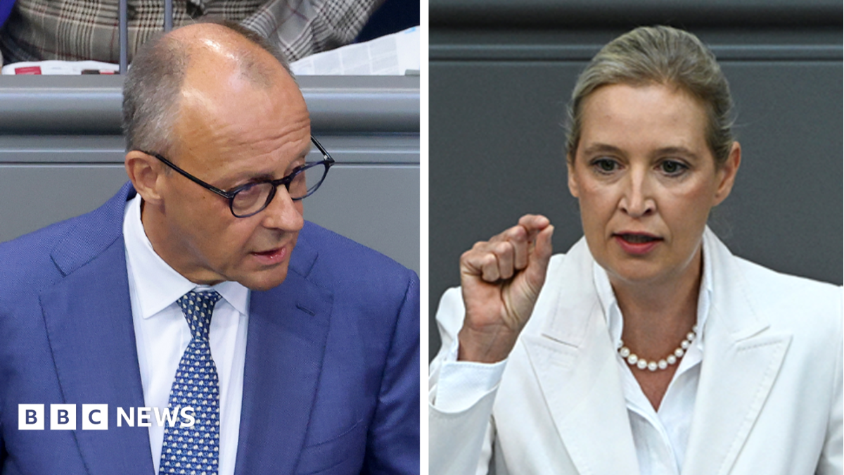 Мерц AfD-ны «жойқын күш» деп атады