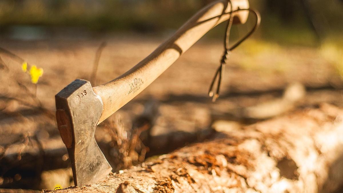 Шымкент мектептеріндегі оғаш сатып алулар: 70 балта мен 55 калькулятор