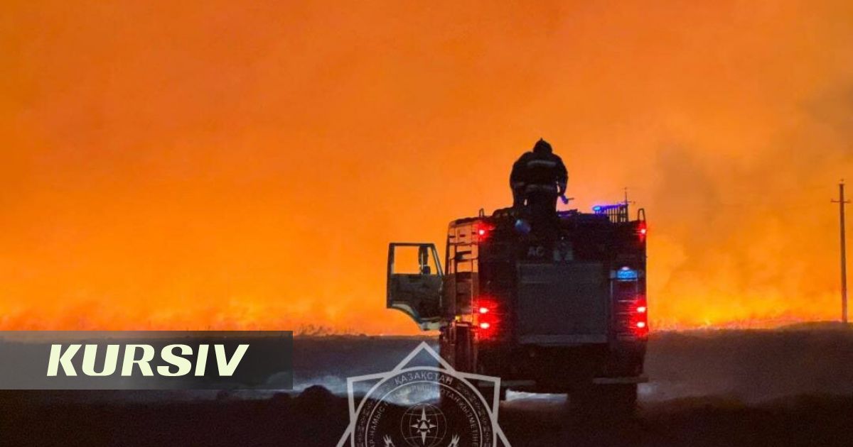 Петропавл маңында 6 гектар қурай өртенді: 110 адам жұмылдырылды