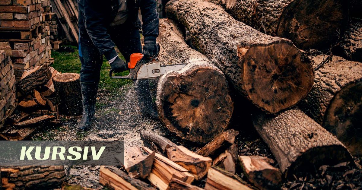 Алматыда ағаштарды кесуге халықаралық стандарттарды енгізу ұсынылды