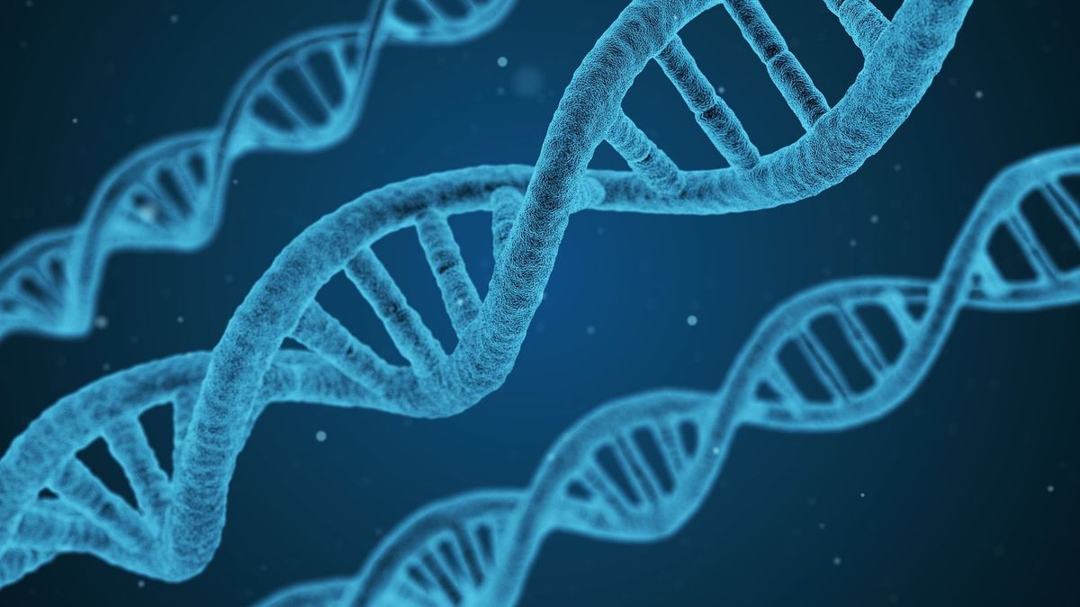 Ғалымдар Альцгеймер ауруының геномдағы жасырын қабатын тапты